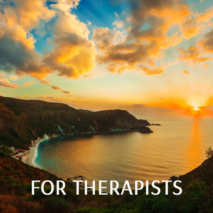 For Therapists